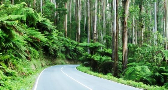 Dandenong Ranges Map