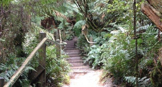 1000 Steps