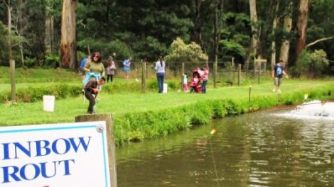 Australian Rainbow Trout Farm