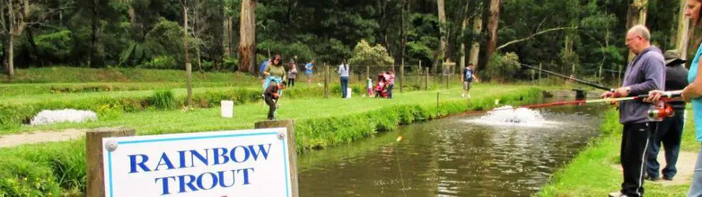 Australian Rainbow Trout Farm