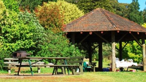 Silvan Reservoir Park