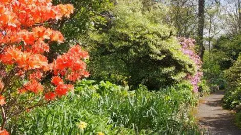 George Tindale Memorial Gardens