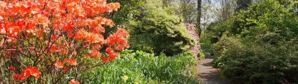 George Tindale Memorial Gardens