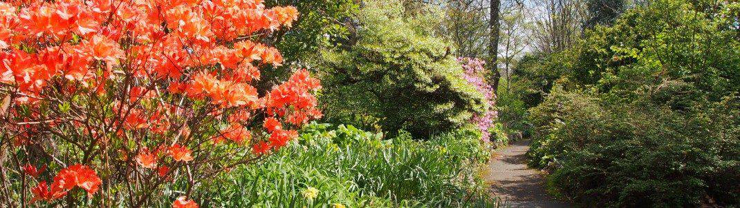 Best Time to Visit the Dandenong Ranges