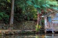 Wooden cabin beside a pond in lush forest at Alfred Nicholas Memorial Gardens.