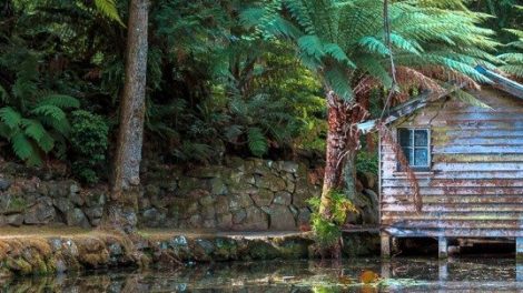 Alfred Nicholas Memorial Gardens