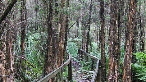 Bunyip State Park