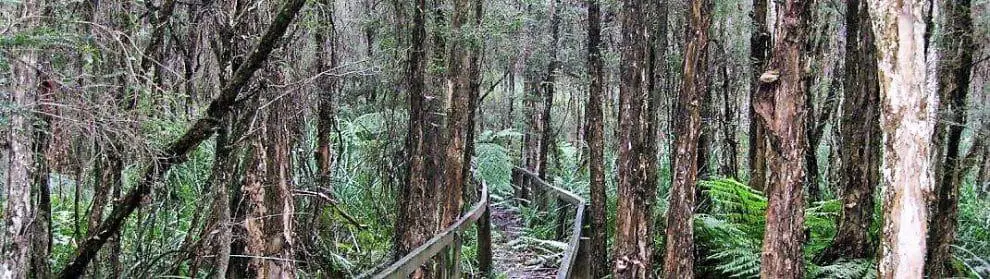 Bunyip State Park