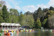 View of Emerald Lake with boats and a pavilion surrounded by trees in Dandenong Ranges.