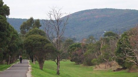 Ferny Creek