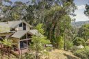 Modern house surrounded by tall trees in a forested area near Selby.