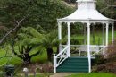 White gazebo surrounded by lush green ferns and trees in a garden setting.
