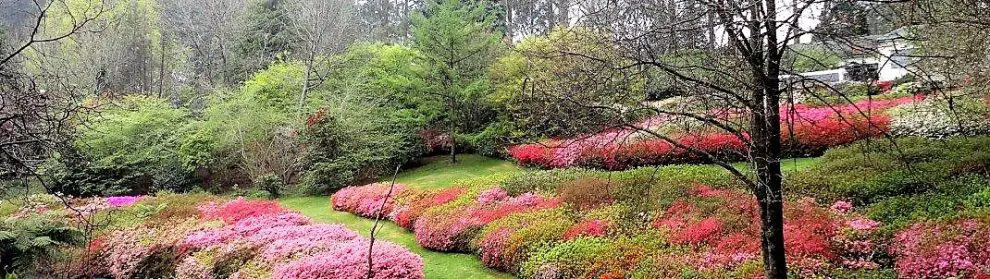 National Rhododendron Gardens