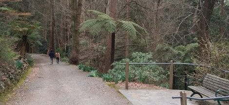 Dandenong Ranges Map