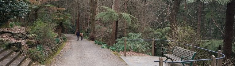 Dandenong Ranges Map