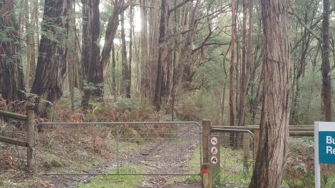 Butterfield Conservation Reserve