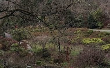 National Rhododendron Gardens