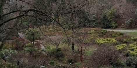 National Rhododendron Gardens