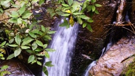 Olinda Falls