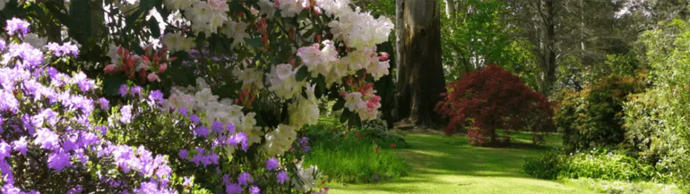 Ferny Creek Horticultural Society Garden