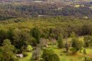 A lush green forested landscape with open grassy areas and scattered trees near Macclesfield.