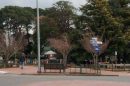 View of a small park with trees, benches, and a shelter in Emerald, Victoria.