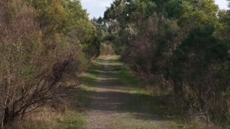 Bungalook Conservation Reserve