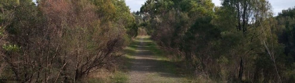 Bungalook Conservation Reserve