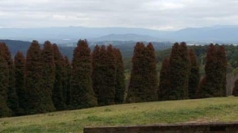 Woolrich Lookout