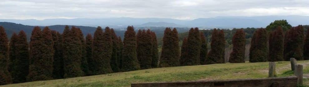 Woolrich Lookout