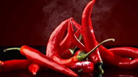 The Herb And Chilli Festival