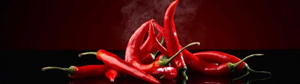 The Herb And Chilli Festival