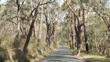 Baluk Willam Nature Conservation Reserve