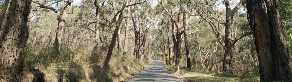 Baluk Willam Nature Conservation Reserve