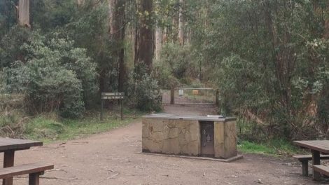 Sherbrooke Picnic Ground