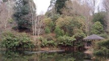 Serene pond surrounded by trees and bushes in a garden setting in Victoria, Australia.
