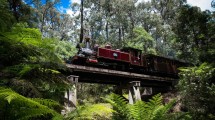 Vintage train crossing a forest bridge in the Dandenong Ranges, Victoria.
