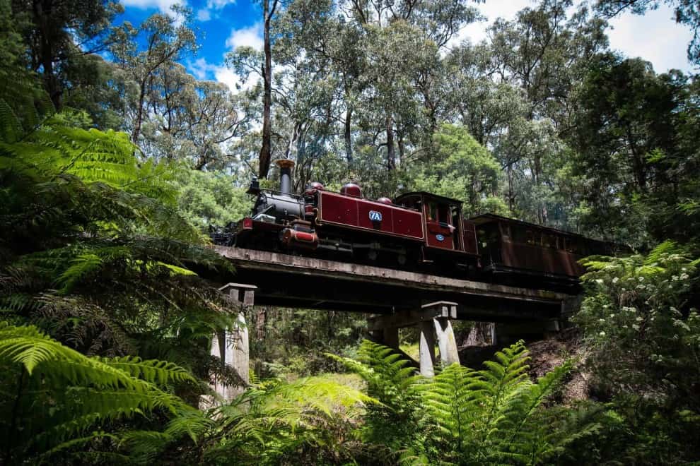 Vintage train crossing a forest bridge in the Dandenong Ranges, Victoria.