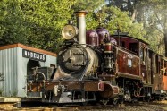 Vintage steam train on railway track surrounded by trees in a forested area.