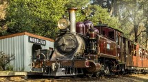 Vintage steam train on railway track surrounded by trees in a forested area.