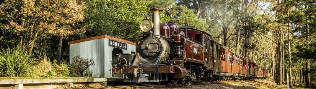 Getting Around the Dandenong Ranges