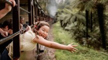 Children enjoying a train ride through a lush forest in the Dandenong Ranges.