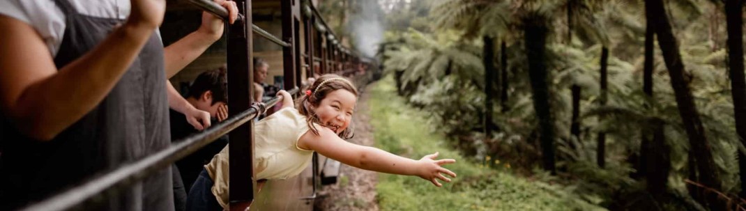 Dandenong Ranges With Kids