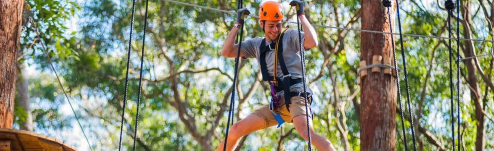 Dandenong Ranges Public Holidays & School Holidays